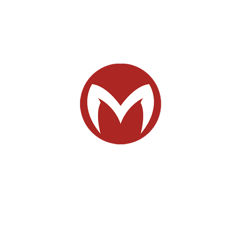 wink24 - Maverick